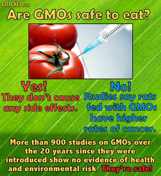 CRACKED.COM Are GMOs safe to eat? luutul Yes! No! They don't Studies cause say rats any side effects. fed with GMOs have higher rates of cancer. More 