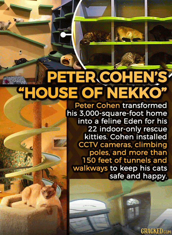 13 Insane Fan Creations That Fill Entire Rooms