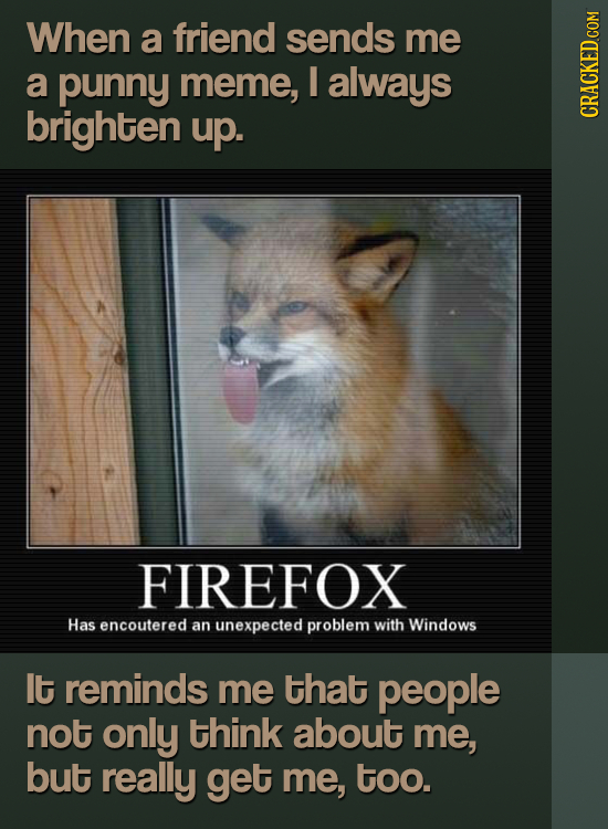 When a friend sends me a punny meme, I always brighten up. FIREFOX Has encoutered an unexpected problem with Windows It reminds me that people not onl