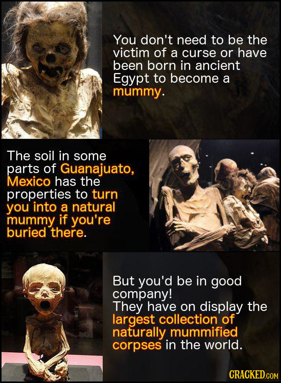 You don't need to be the victim of a curse or have been born in ancient Egypt to become a mummy. The soil in some parts of Guanajuato, Mexico has the