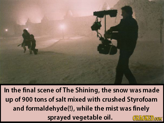 In the final scene of The Shining, the snow was made up of 900 tons of salt mixed with crushed Styrofoam and formaldehyde(!), while the mist was finel
