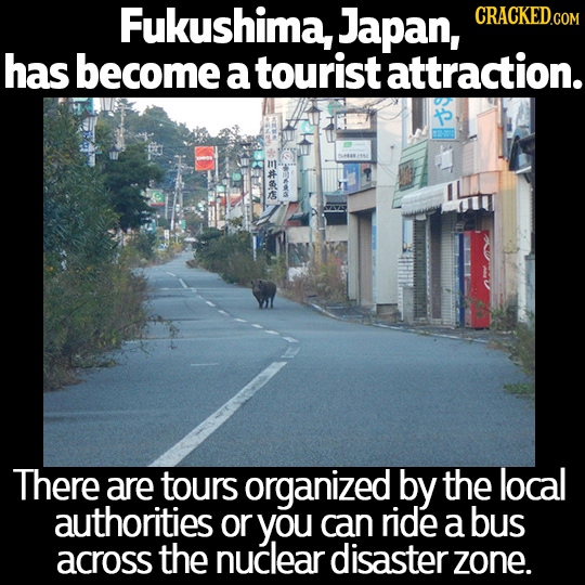 Fukushima, Japan, has become a tourist attraction. There are tours organized by the local authorities or you can ride a bus across the nuclear disaste