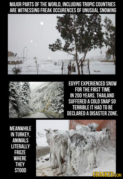 MAJOR PARTS OF THE WORLD, INCLUDING TROPIC COUNTRIES ARE WITNESSING FREAK OCCURENCES OF UNUSUAL SNOWING EGYPT EXPERIENCED SNOW FOR THE FIRST TIME IN 2