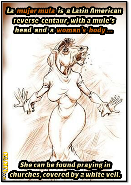 La mujer mula is a Latin American reverse centaur, with mule's a head and a woman's body. (CRAOT She can be found praying in churches, covered by a wh