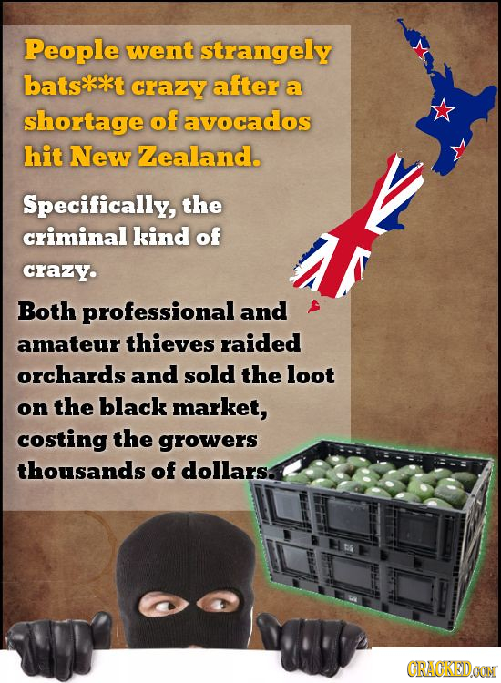 People went strangely batskxkt crazy after a shortage of avocados hit New Zealand. Specifically, the criminal kind of crazy. Both professional and ama