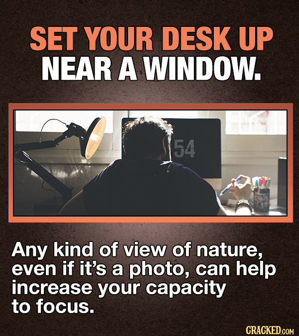 13 Facts About Working From Home