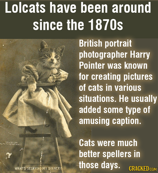 Lolcats have been around since the 1870s British portrait photographer Harry Pointer was known for creating pictures of cats in various situations. He