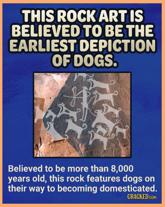 THIS ROCK ART IS BELIEVED TO BE THE EARLIEST DEPICTION OF DOGS. Believed to be more than 8.000 years old, this rock features dogs on their way to beco