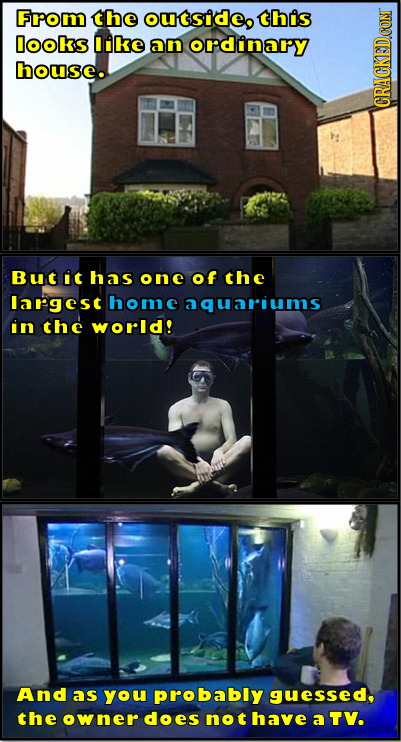 Fom the ouSideo this Dooks like ann ordinary house. CRAU But it has one of the Iargest home aquariums in the world! And as you probably guessed, the o