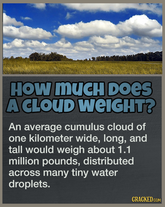 19 Answers To Questions You Never Thought To Ask