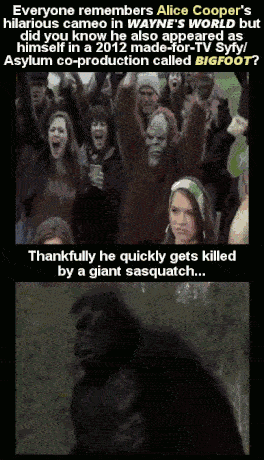 24 Celebrity Cameos Too Embarrassing For Words