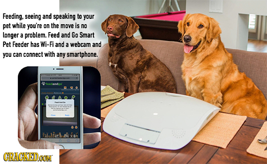 Feeding, seeing and speaking to your pet while you're on the move is no longer a problem. Feed and Go Smart Pet Feeder has Wi-Fi and a webcam and you