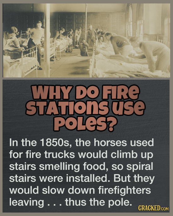 19 Answers To Questions You Never Thought To Ask