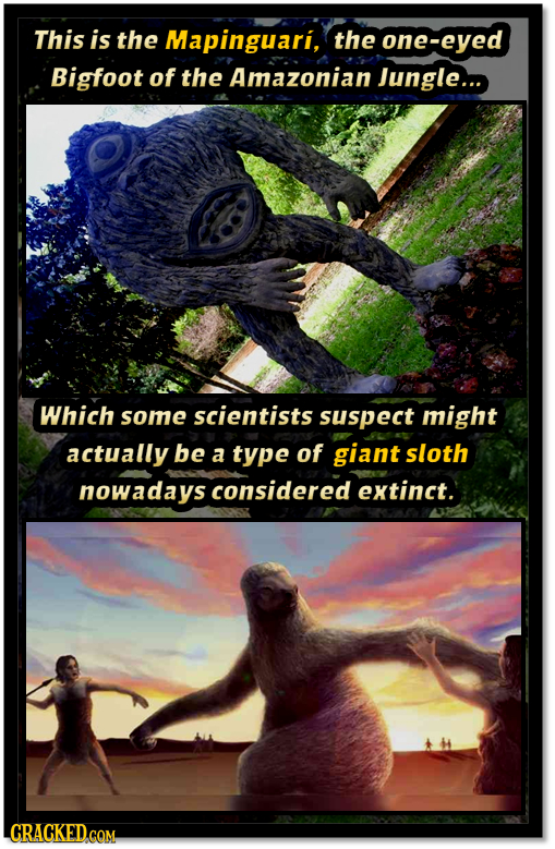 This is the Mapinguari, the one-eyed Bigfoot of the Amazonian Jungle... Which some scientists suspect might actually be a type of giant sloth nowadays