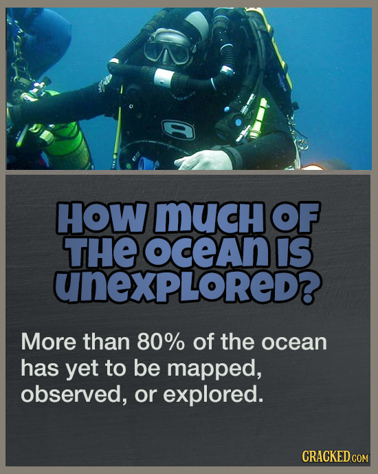 19 Answers To Questions You Never Thought To Ask