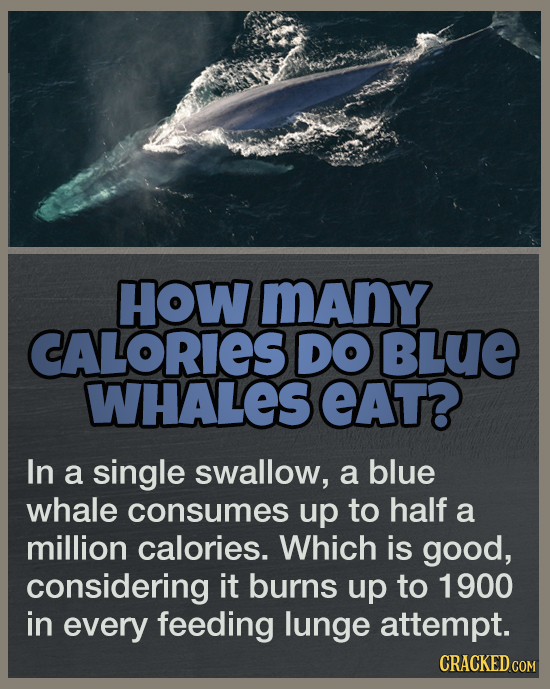 19 Answers To Questions You Never Thought To Ask