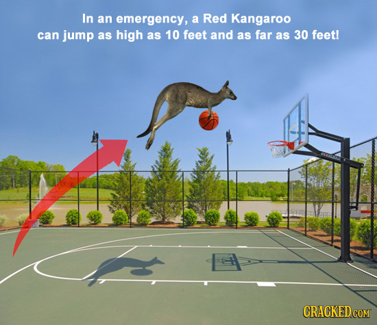 38 Real Size Comparisons That Will Make Your Head Explode