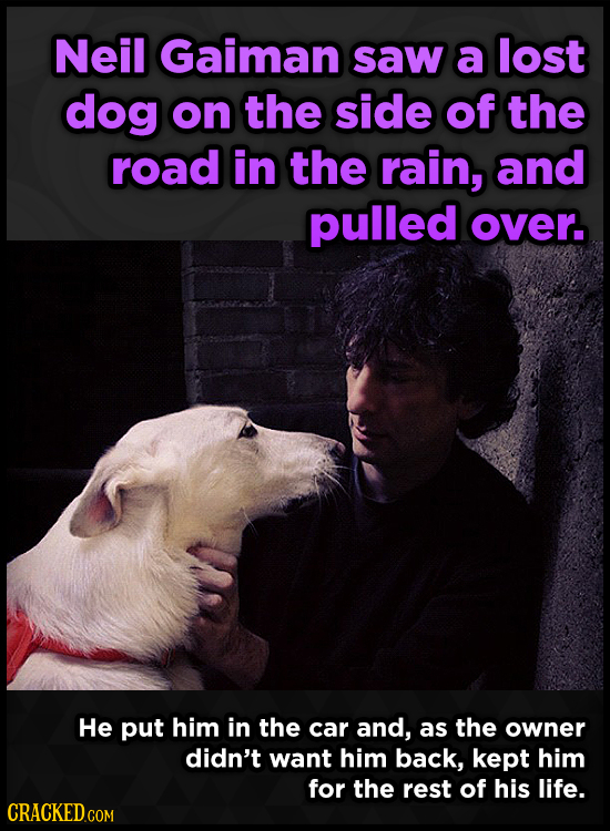 Neil Gaiman saw a lost dog on the side of the road in the rain, and pulled over. He put him in the car and, as the owner didn't want him back, kept hi