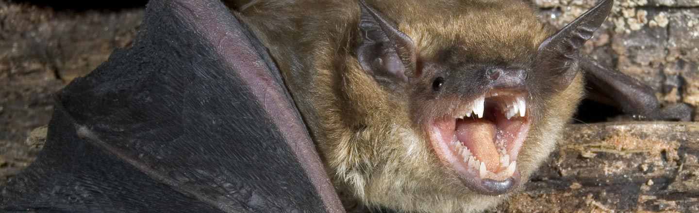 20 Creepy Discoveries That People Stumbled Into