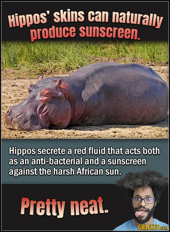 15 Animals With Envy-Inducing Biology