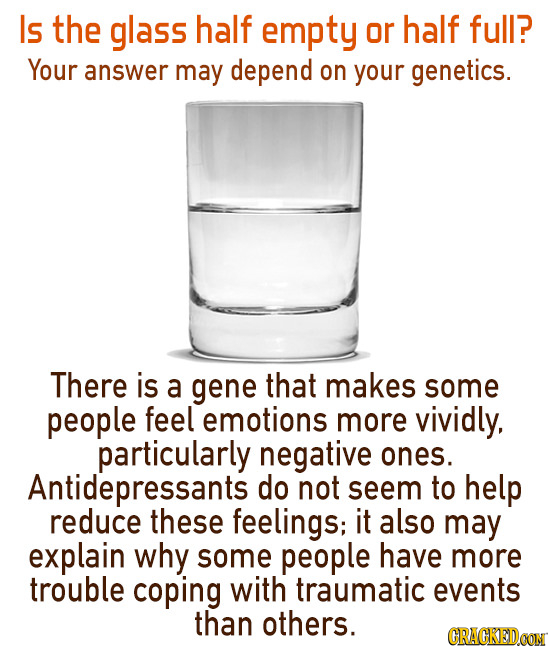 Is the glass half empty or half full? Your answer may depend on your genetics. There is a gene that makes some people feel emotions more vividly, part