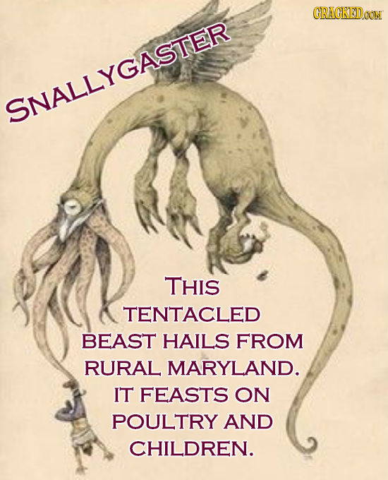 CRACKEDOON SNALLYGASTER THIS TENTACLED BEAST HAILS FROM RURAL MARYLAND. IT FEASTS ON POULTRY AND CHILDREN.