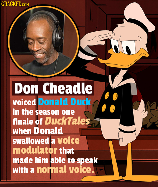 CRACKED c Don Cheadle voiced Donald Duck in the season one finale of DuckTales when Donald swallowed a voice modulator that made him able to speak with a normal voice.
