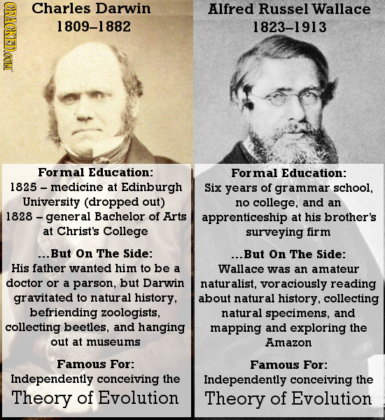 CRACKEDOONT Charles Darwin Alfred Russel Wallace 1809-1882 1823-1913 Formal Education: Formal Education: 1825 medicine at Edinburgh Six years of gramm