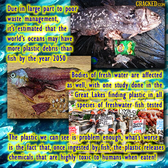 CRACKED GO Due in large part to poor waste management, it's estimated that the world's oceans may have more plastic debris than fish by the 2050 year