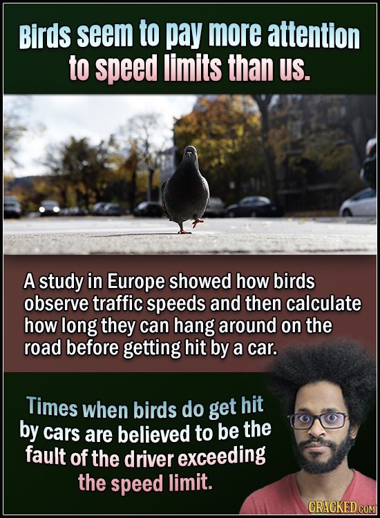 15 Animals With Envy-Inducing Biology