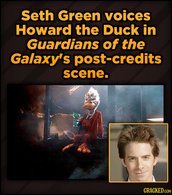 Famous People’s Voices (Secretly) In Your Favorite Movies - Seth Green voices Howard the Duck in Guardians of the Galaxy's post- -credits scene.