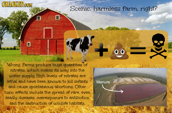 GRAGKED.OON Scenic. harmless farm. right? + 00 Wrong. Farms produice huge quantities of nitrates. which makes its way into the water supply. High leve