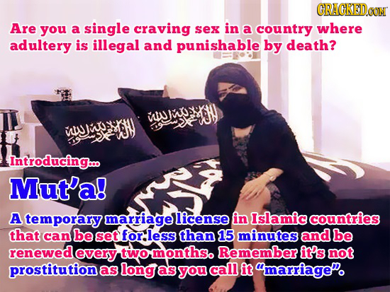 CRACKEDo Are you a single craving sex in a country where adultery is illegal and punishable by death? n nt Introducing... Mut'a! A temporary marriage