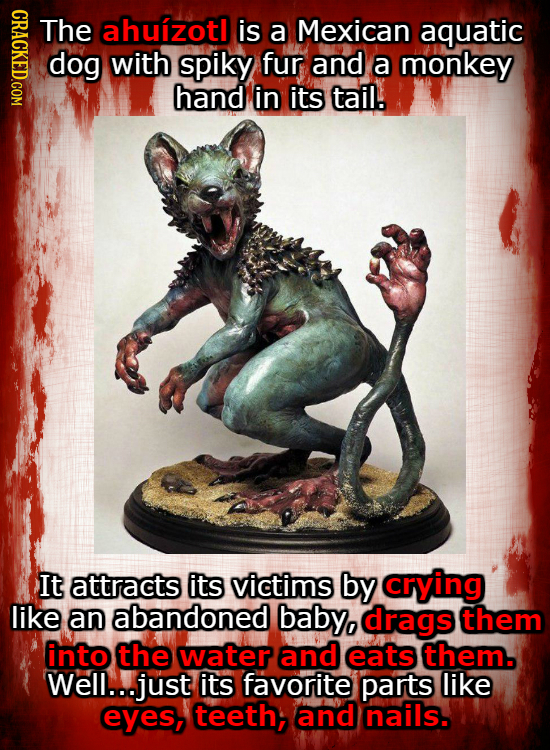 CRACKED.COM The ahuizotl is a Mexican aquatic dog with spiky fur and a monkey hand in its tail. It attracts its victims by crying like an abandoned ba