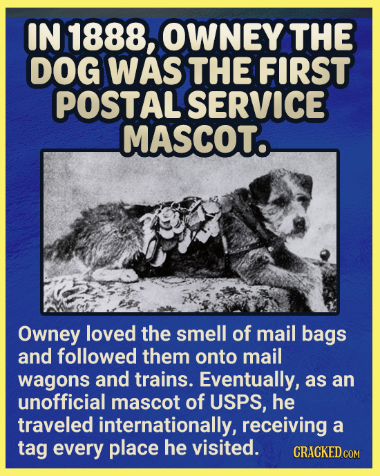 IN 1888, OWNEY THE DOG WAS THE FIRST POSTAL SERVICE MASCOTo Owney loved the smell of mail bags and followed them onto mail wagons and trains. Eventual