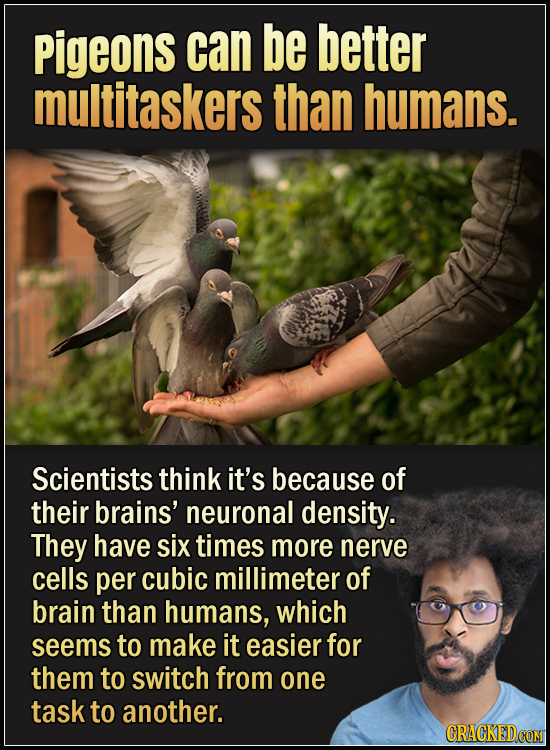 15 Animals With Envy-Inducing Biology