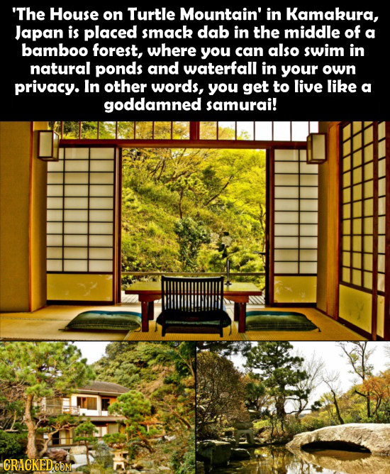 'The House on Turtle Mountain' in Kamakura, Japan is placed smack dab in the middle of a bamboo forest, where you can also swim in natural ponds and w