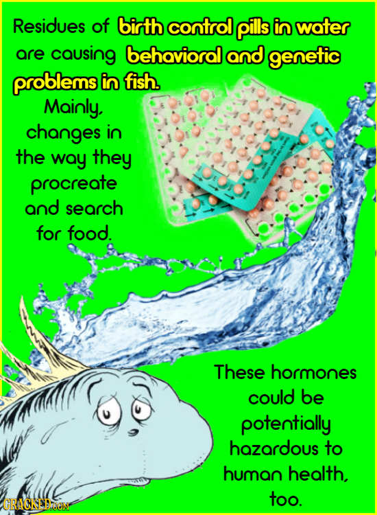 Residues of birth control pills in water are causing behavioral and genetic problems in fish. Mainly, changes in the way they procreate and search for