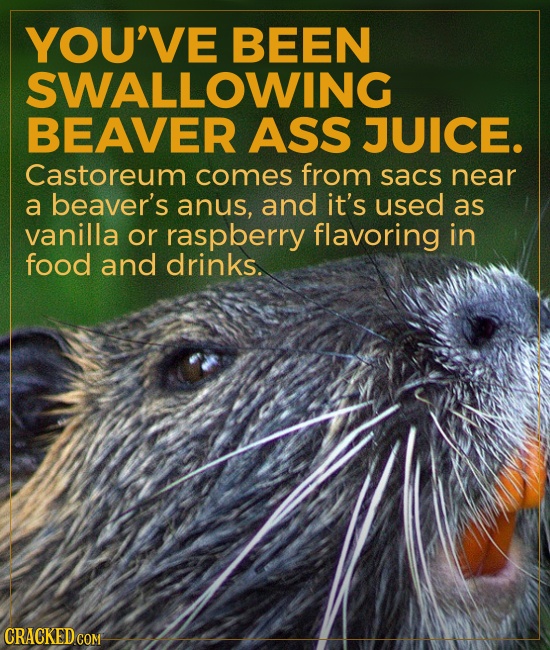YOU'VE BEEN SWALLOWING BEAVER ASS JUICE. Castoreum comes from sacs near a beaver's anus, and it's used as vanilla or raspberry flavoring in food and d