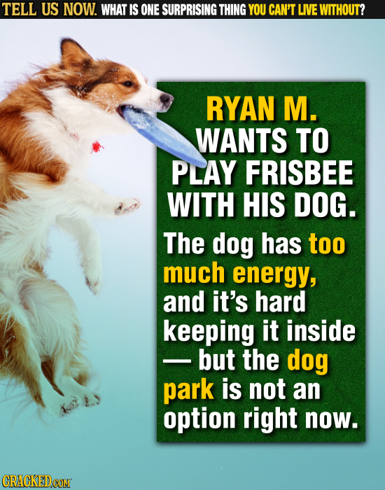TELL US NOW. WHAT IS ONE SURPRISING THING YOU CAN'T LIVE WITHOUT? RYAN M. WANTS TO PLAY FRISBEE WITH HIS DOG. The dog has too much energy, and it's ha