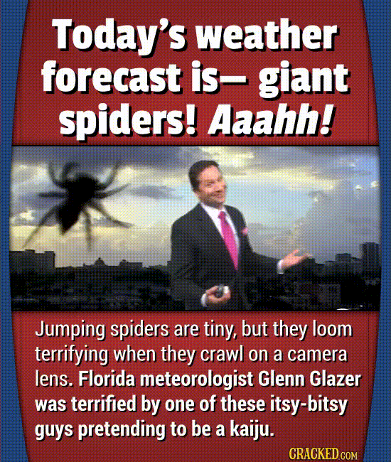 Hilarious Moments That Actually Happened On Live TV