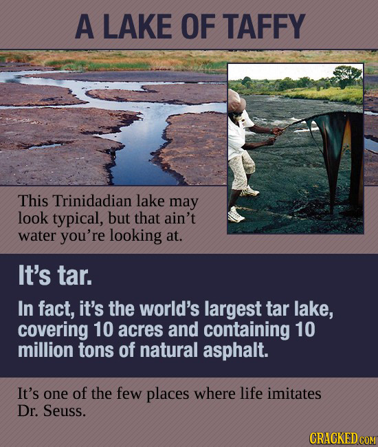 A LAKE OF TAFFY This Trinidadian lake may look typical, but that ain't water you're looking at. It's tar. In fact, it's the world's largest tar lake,
