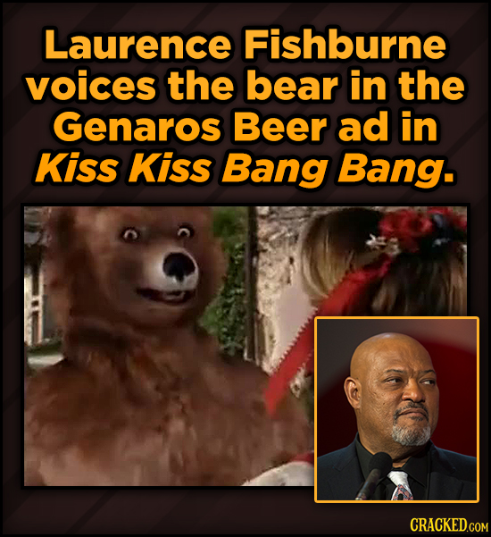 Famous People’s Voices (Secretly) In Your Favorite Movies - Laurence Fishburne voices the bear in the Genaros Beer ad in Kiss Kiss Bang Bang.