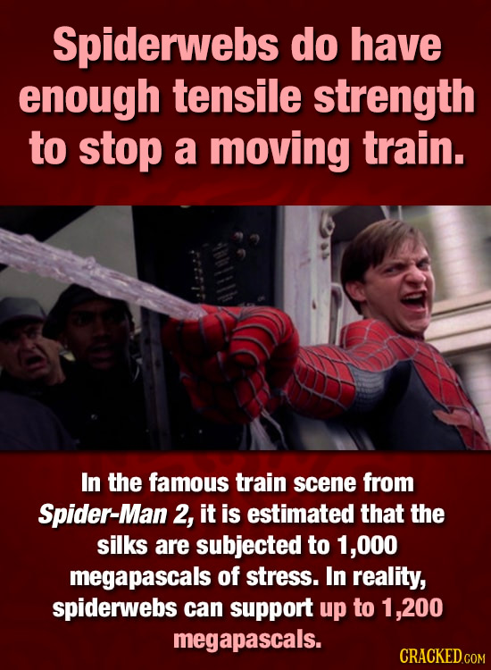 Spiderwebs do have enough tensile strength to stop a moving train. In the famous train scene from Spider-Man 2, it is estimated that the silks are sub