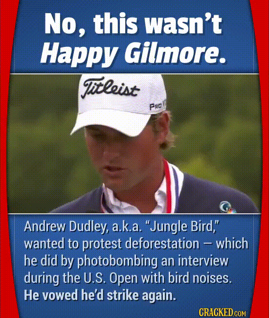 Hilarious Moments That Actually Happened On Live TV