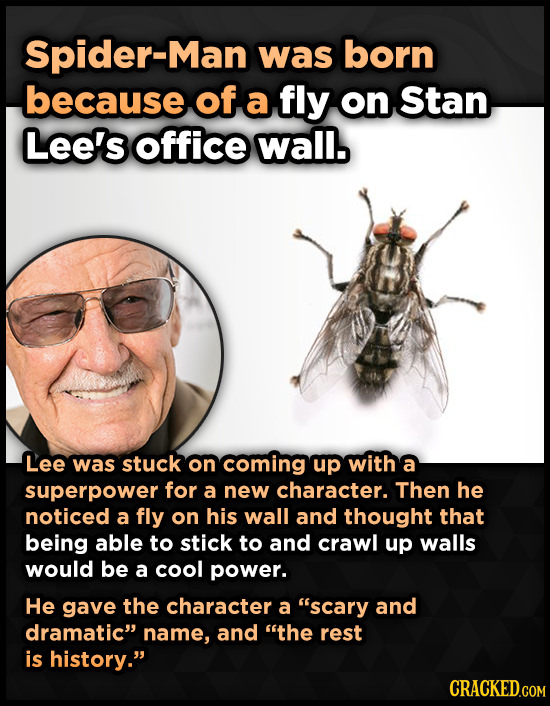 Spider-Man was born because of a fly on Stan Lee's office wall. Lee was stuck on coming up with a superpower for a new character. Then he noticed a fl