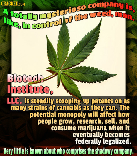 company is, A totally mysterioso weed, man. like, bf the in control Biotech Institute, LLC. is steadily scooping up patents on as many strains of cann