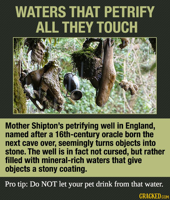 WATERS THAT PETRIFY ALL THEY TOUCH Mother Shipton's petrifying well in England, named after a 16th-century oracle born the next cave over, seemingly t