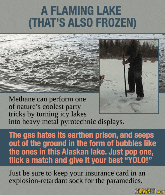 Unnatural Scenes Pulled Straight From Nature