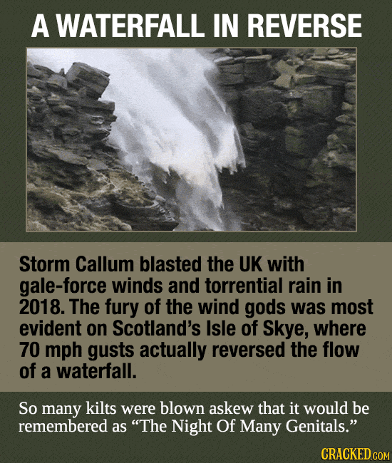 Unnatural Scenes Pulled Straight From Nature